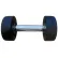 Гантель с уретановым покрытием 10 кг Generation Fitness FF51D4B-10 кг