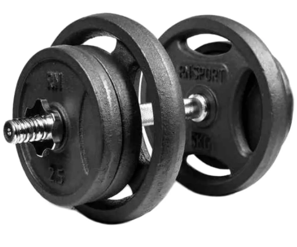 Гантели разборные металлические 2 х 21 кг RN-Sport