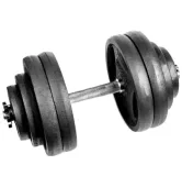 Гантель металлическая наборная 28 кг RN-Sport