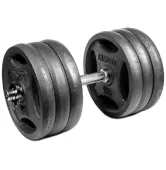Гантель металлическая наборная 31 кг RN-Sport