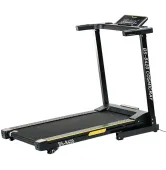 Беговая дорожка Besport BS-8420 Cosmicray