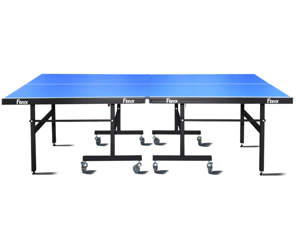 Аренда профессионального теннисного стола Феникс Master Sport M16 Blue