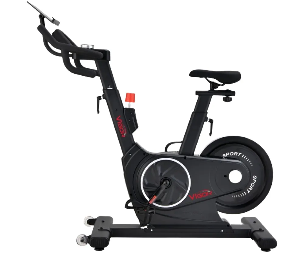 Спинбайк Vigor D700G