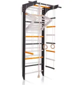 Спортивный уголок SportBaby 8-Lux 2-220
