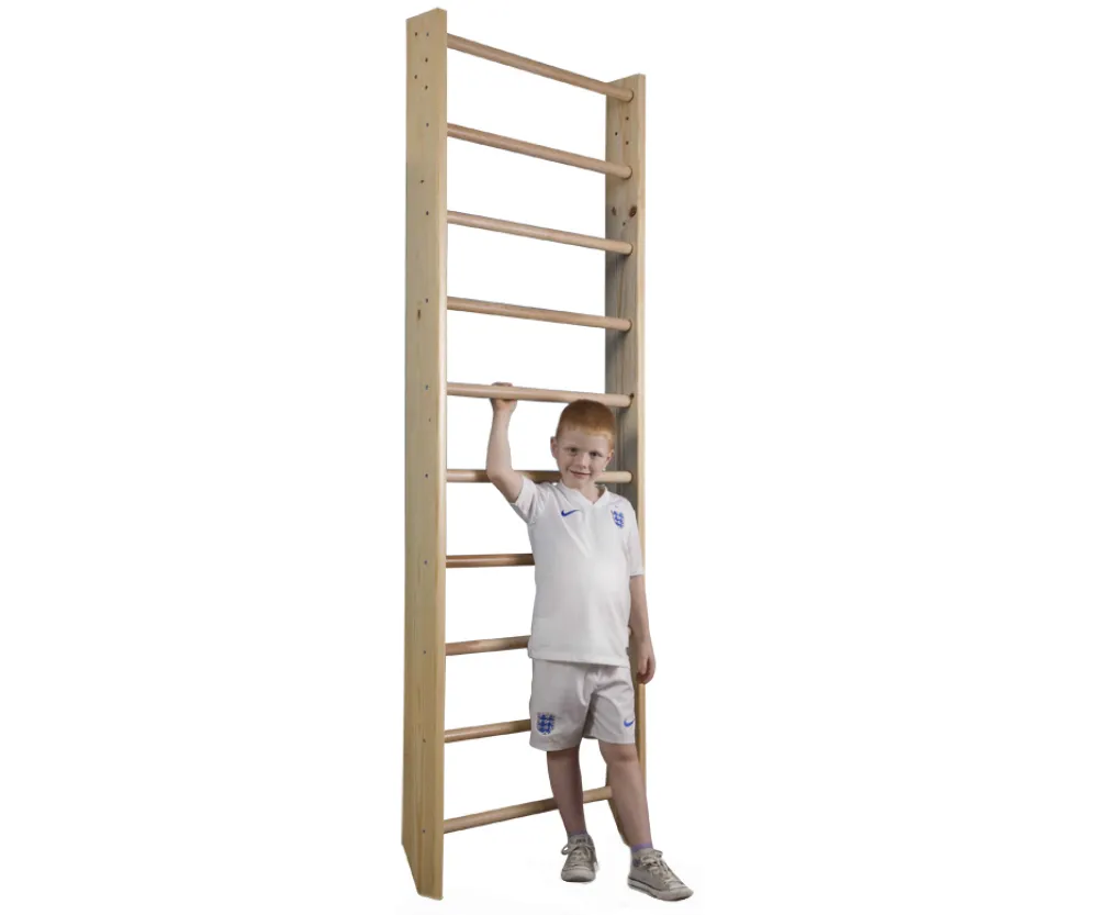 Шведская стенка SportBaby Sport 0-220