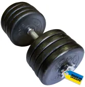Гантель наборная Newt 42 кг TI-968-745-42-1