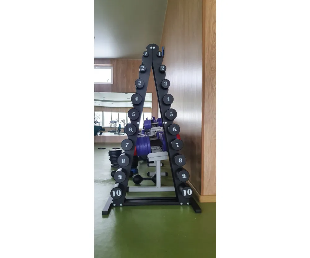 Стойка под гантели (1 - 10 кг) RN-Sport