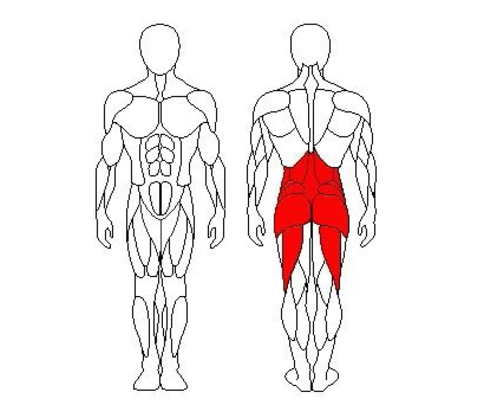 Гиперэкстензия регулируемая Sportfit 1108