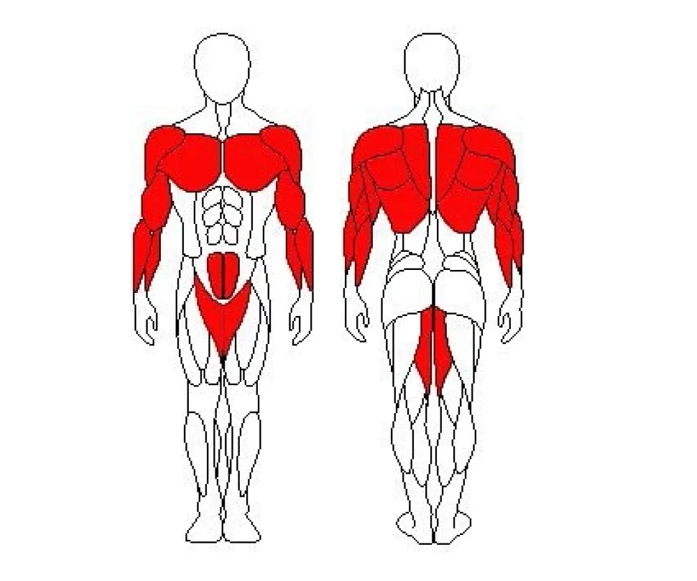 Блочная рамка (Кроссовер) Sportfit 1206