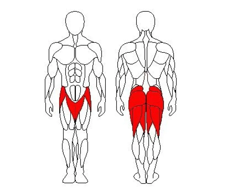 Тренажер для ягодичных мышц Sportfit 1212
