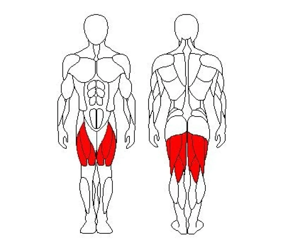 Комбинированный сгибатель/разгибатель мышц бедра Sportfit 1218