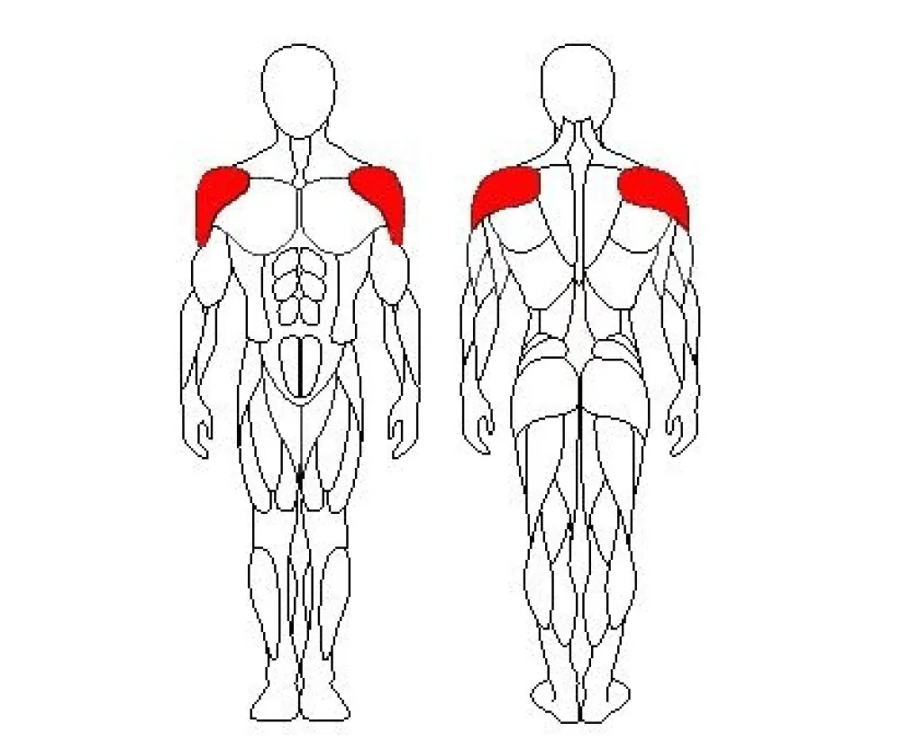 Дельта машина Sportfit 1225