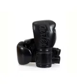 Боксерские перчатки Fairtex BGV14SB Black