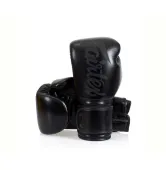 Боксерские перчатки Fairtex BGV14SB Black