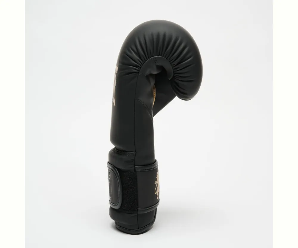 Боксерские перчатки Leone GN059D Black/Gold (капу в комплекте)