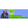 Як займатися на орбітреку, щоб схуднути